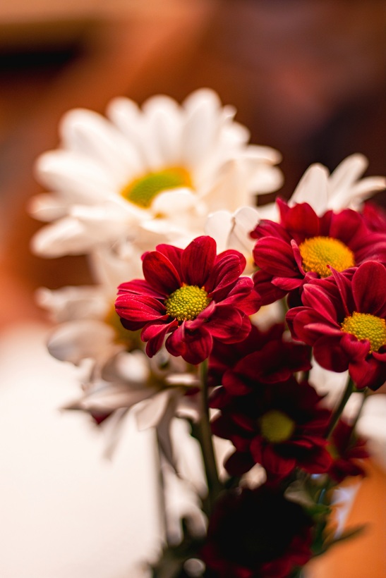 お供え用のお花