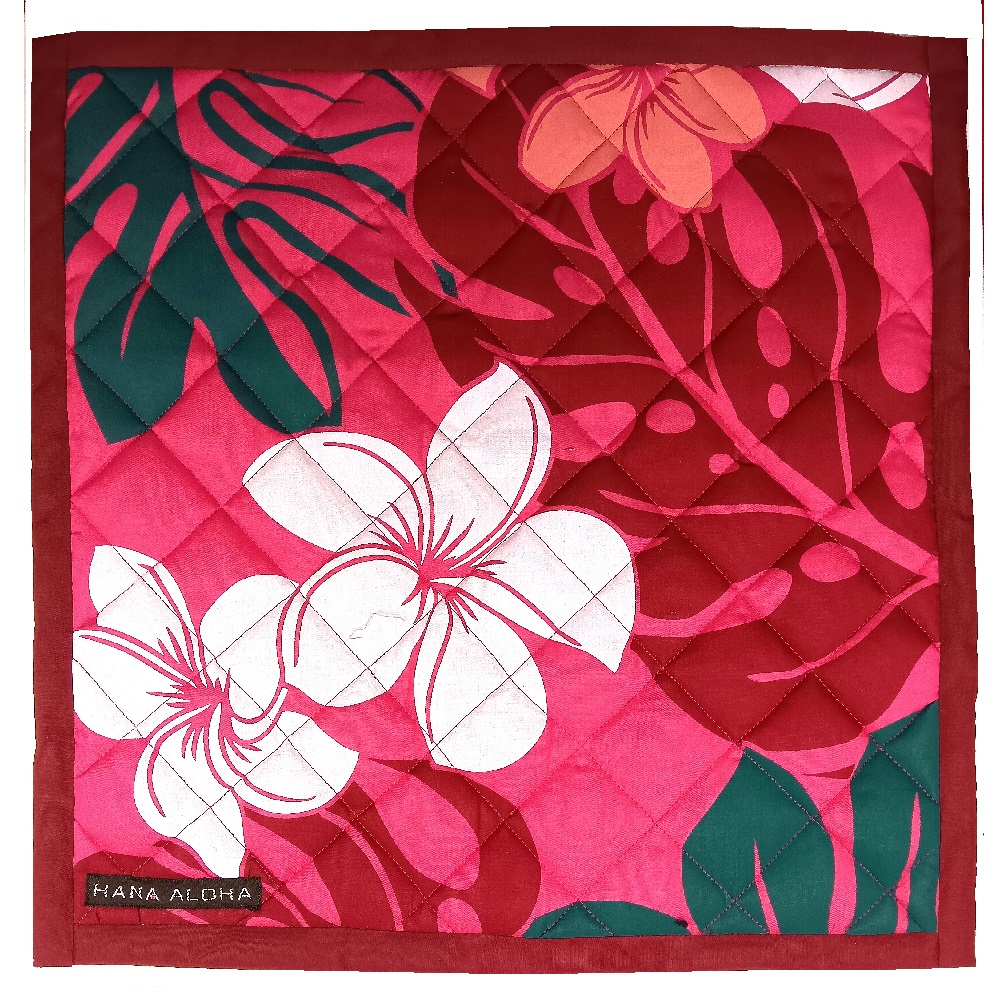 《 額ぶち手まつりタイプ 》イプヘケマットPale(パレ)-0120