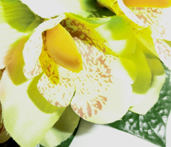 フラ・ヘアクリップ