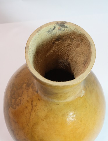 ハワイから取り寄せたイプ OSAWA ONLINE