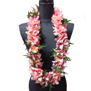 《 中心が生なり花びらが淡い紫とピンクの洋ランのダブルショ－トレイ》
