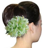 フラ・ヘアクリップ