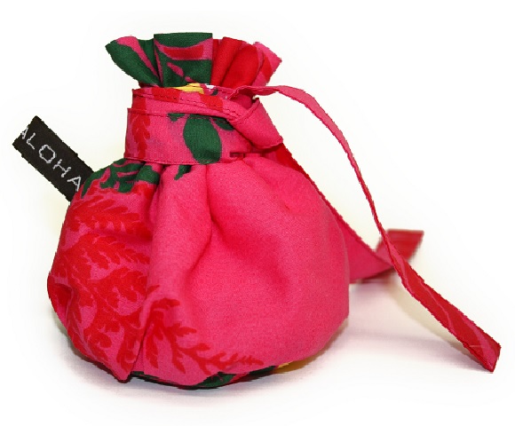 イリイリケース