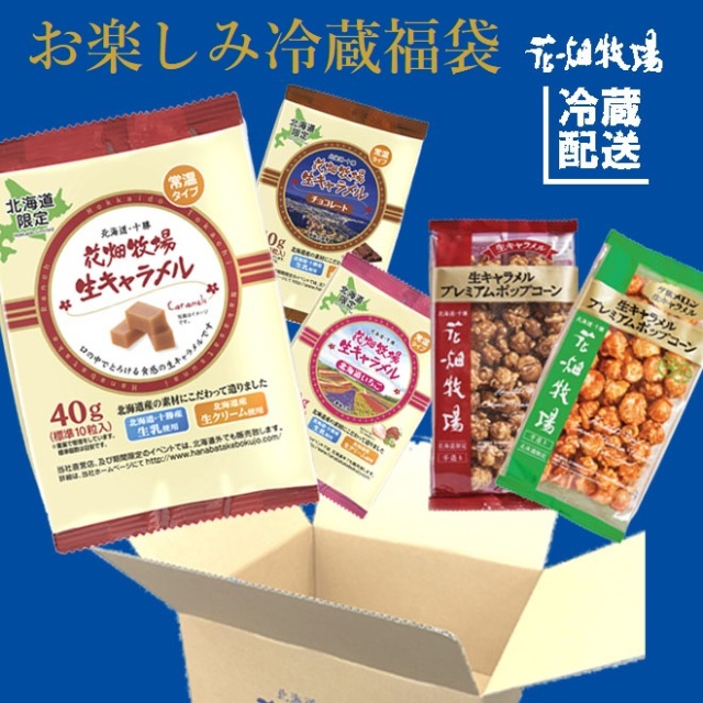 ★送料無料★花畑牧場　わくわく・どきどき！お楽しみ冷蔵福袋（生キャラメル・チーズ・お菓子）【冷蔵配送】