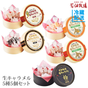 生キャラメル5種5個セット経木商品