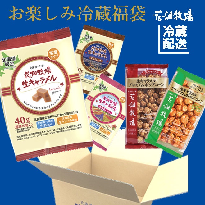 ★送料無料★花畑牧場　わくわく・どきどき！お楽しみ冷蔵福袋（生キャラメル・チーズ・お菓子）【冷蔵配送】