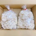 生鮮ハナビラタケ