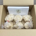 生鮮ハナビラタケと焙煎ハナビラタケ茶のセット