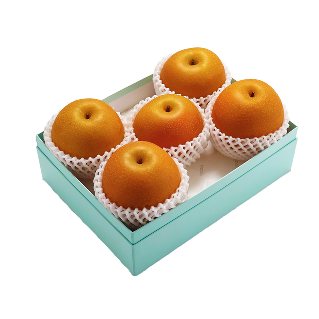 【送料無料】長野県産 南水梨※10月31日迄発送