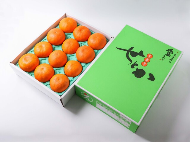 【特別価格】【送料無料】愛媛県産 せとか 10玉~15玉※3月31日迄発送