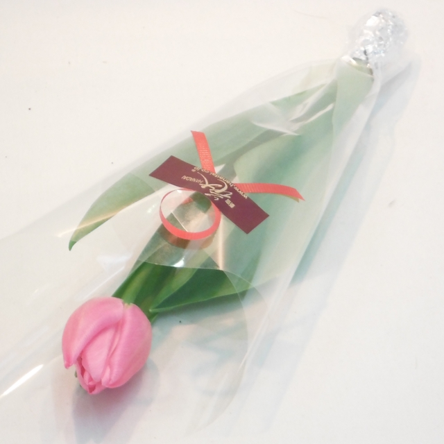 【１本ラッピング】デンファレ《カードなし・リボン付き》:（色おまかせ10本セット） /Ｍサイズ〔注文から４日以降のお届け〕