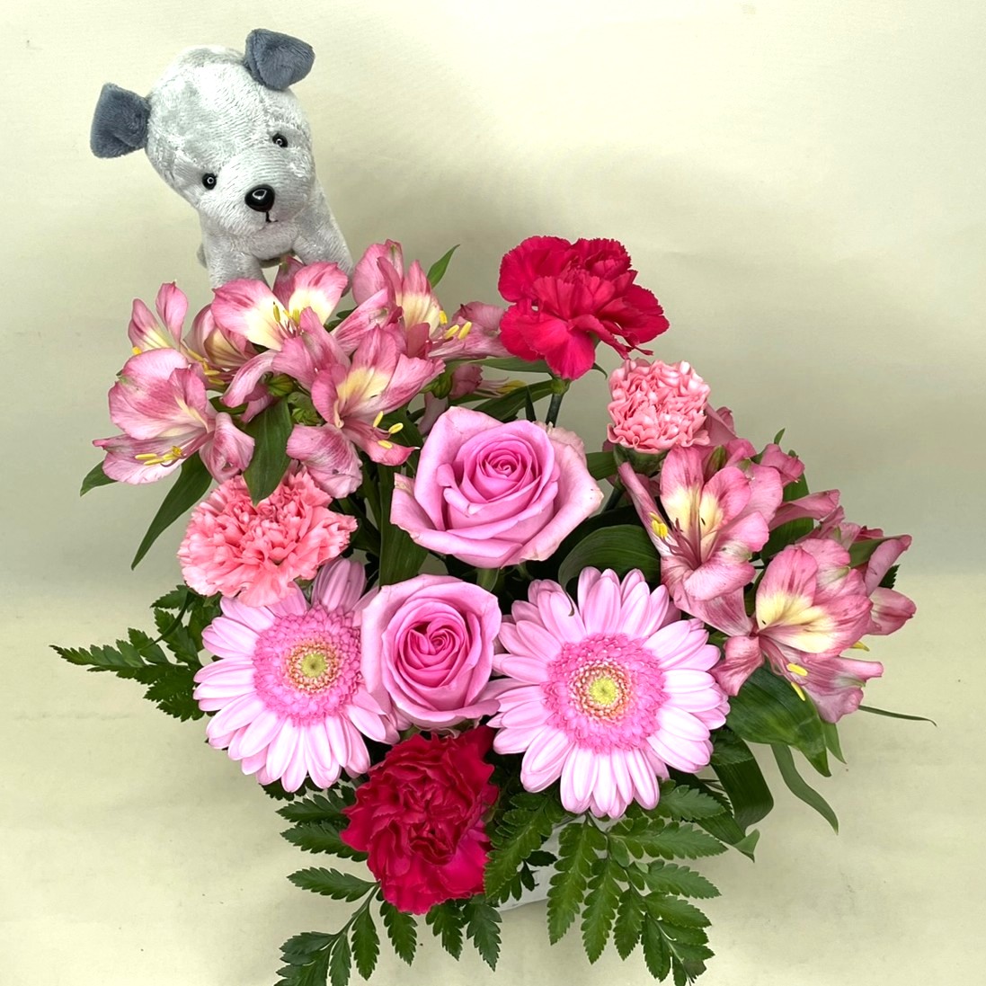 グレーいぬアレンジメント【翌日以降★本州限定（中国地方を除く）】　