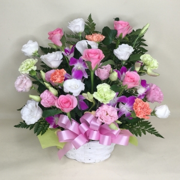 ネット限定【翌日以降★本州限定（中国地方を除く）】アレンジメント [定価5,500円]