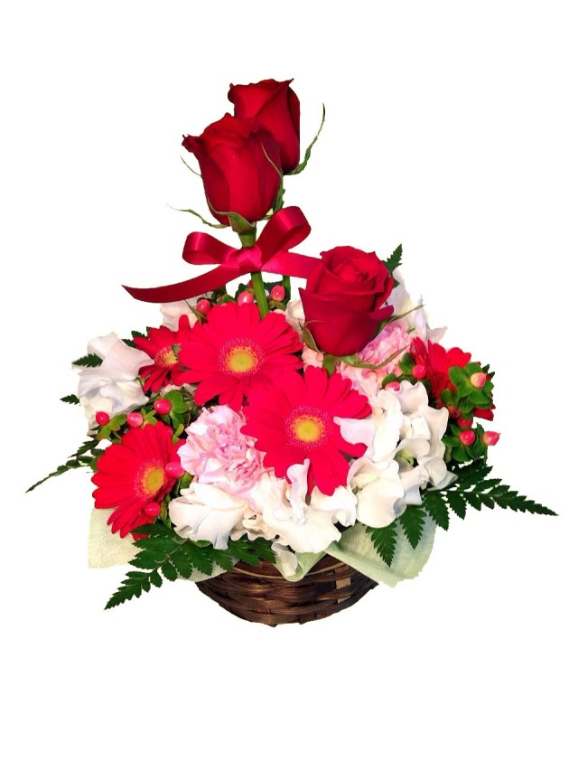 【愛妻の日】アレンジメント Rosy(ロージー)【翌日以降★本州お届け限定（中国地方を除く）】