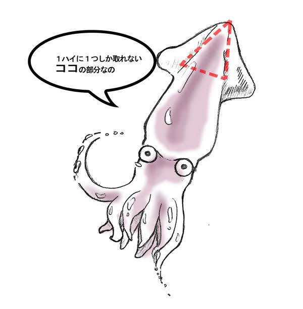 胴肉の先部分になります。