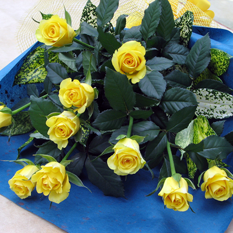 FF-006 バラの花束（黄色）