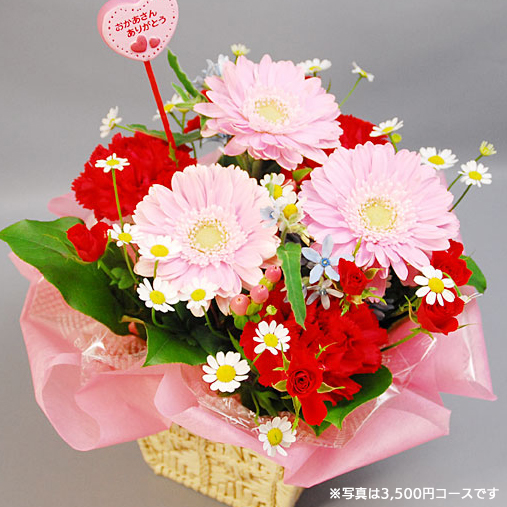 NO.10 アレンジおまかせコース