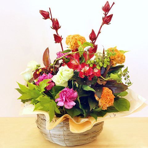 OF-001 アレンジメント