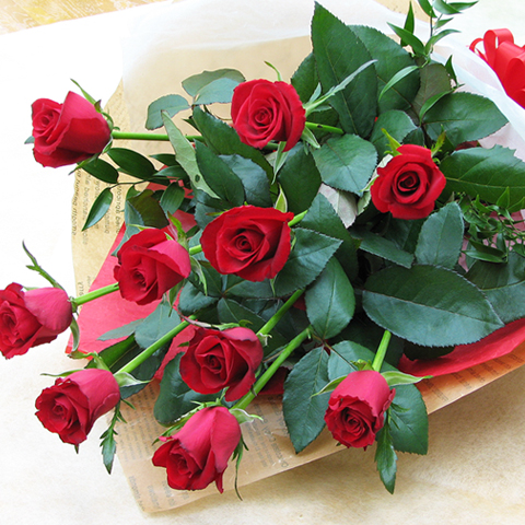 FF-008 バラの花束（赤色）