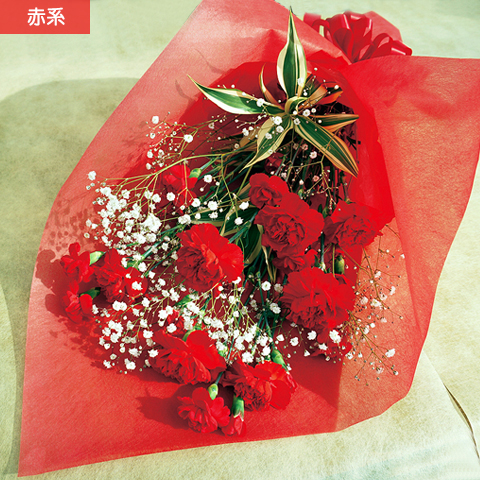 NO.6 カーネーションとカスミ草の花束