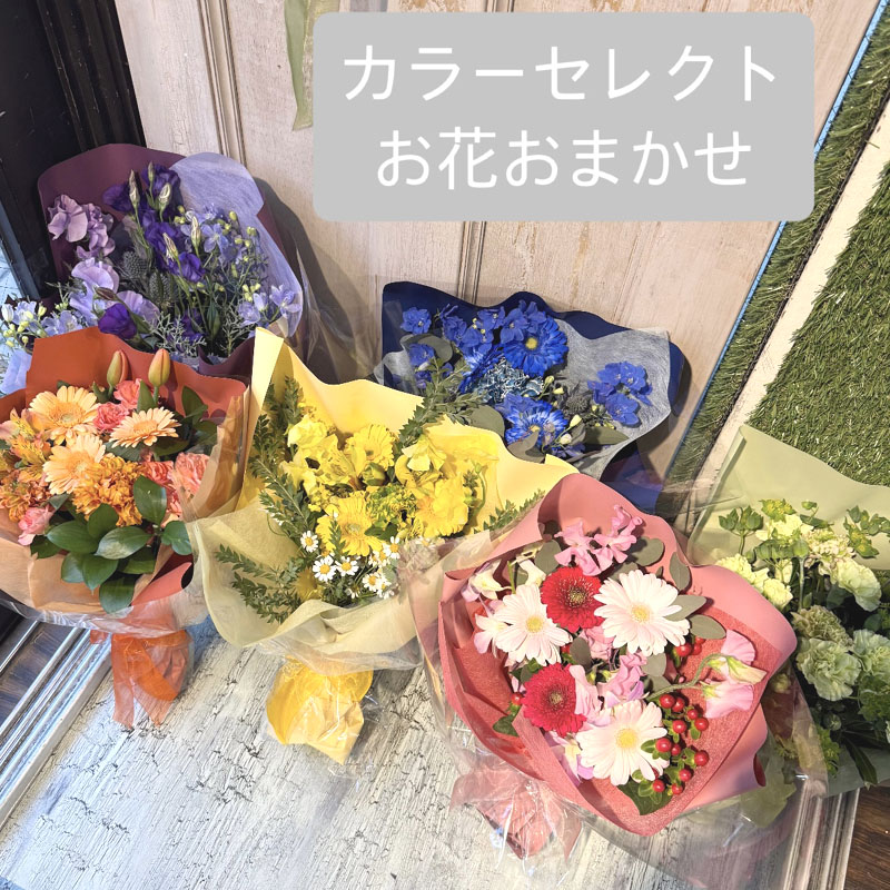 花束　カラーセレクト　おまかせ　[B-3500-10]