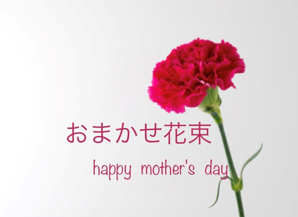 母の日　5000円　おまかせ花束　[HB-5000-5]