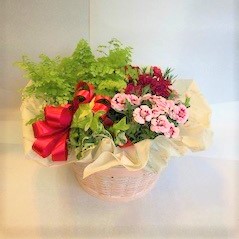 母の日　カーネーションカゴSET　[HH-3000-3]