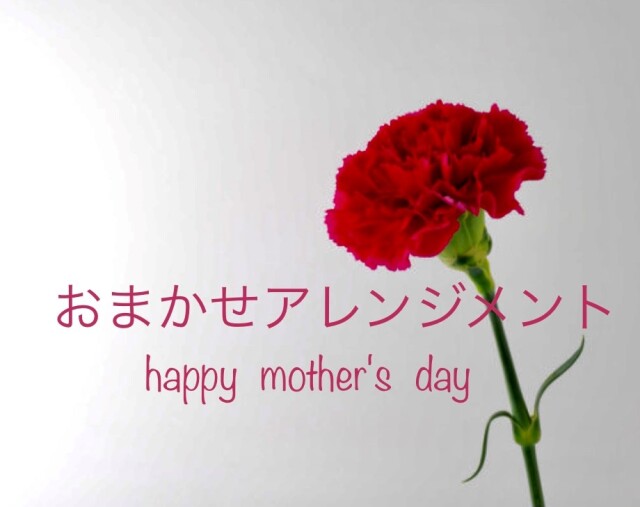 母の日　3000円　おまかせアレンジメント　[HA-3000-5]