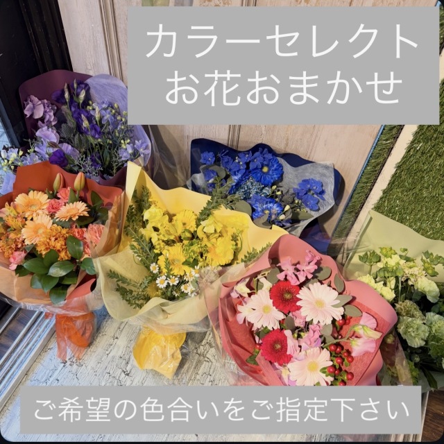 花束　カラーセレクト　おまかせ　[B-3500-10]