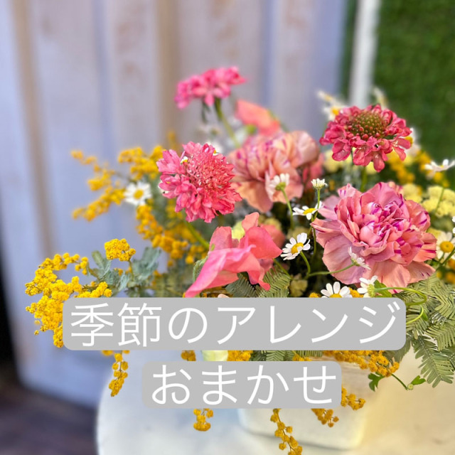 アレンジメント　3300円　おまかせ　[A-3000-1]