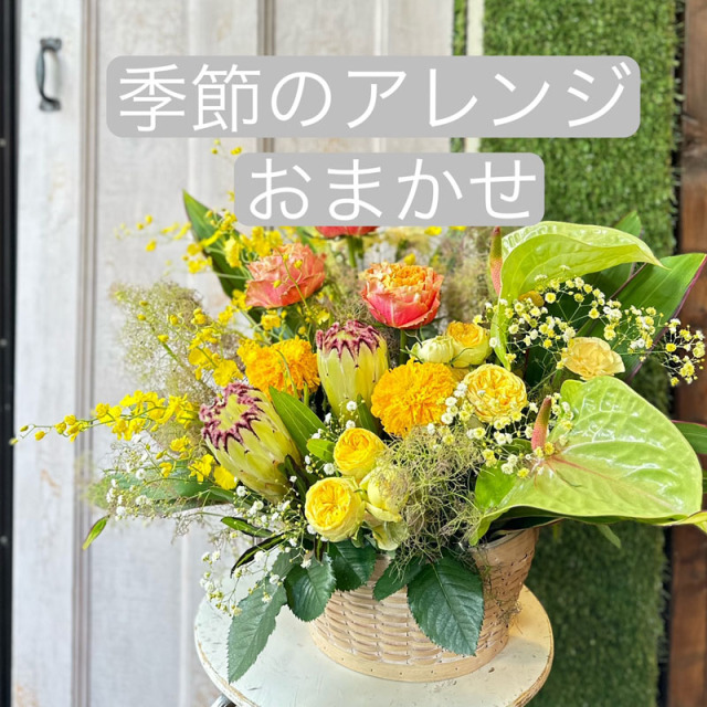アレンジメント　5500円　おまかせ　[A-5000-1]