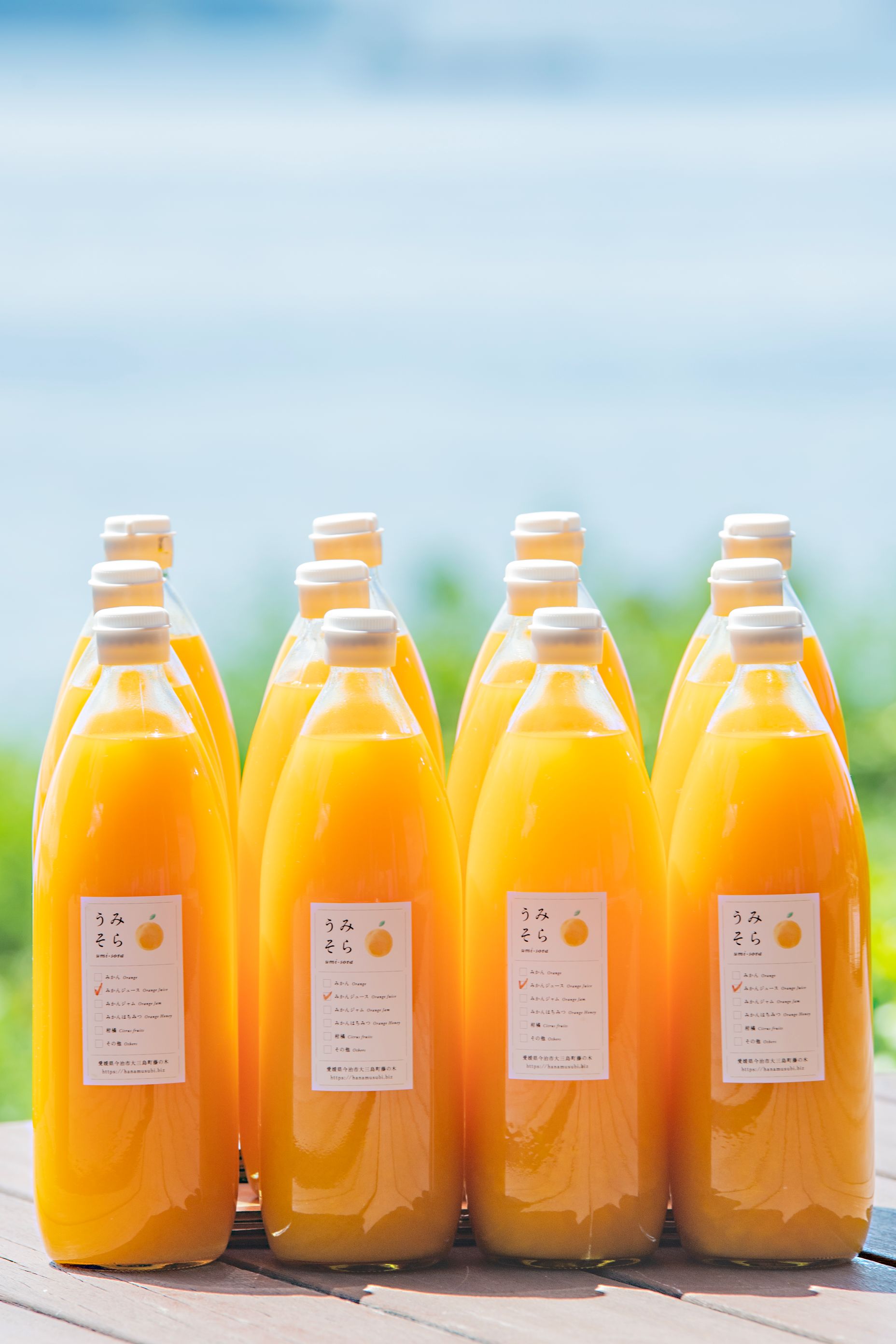 ー品販売  組合せ自由】愛媛県大三島産 歪む 柑橘ストレートジュース 100 ソフトドリンク