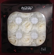 ローズいずみ　9輪入り　ピュアホワイト