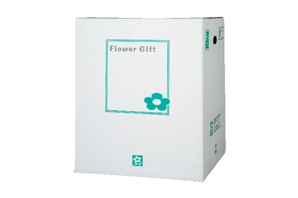 ギフトボックスＥ４　１ケース（３０枚入り）375×375×450