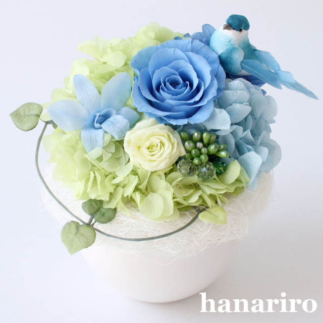 しあわせの青い鳥 ブルーｓ プリザーブドフラワー プリザーブドフラワーギフトの通販専門花屋 花riro ハナリロ