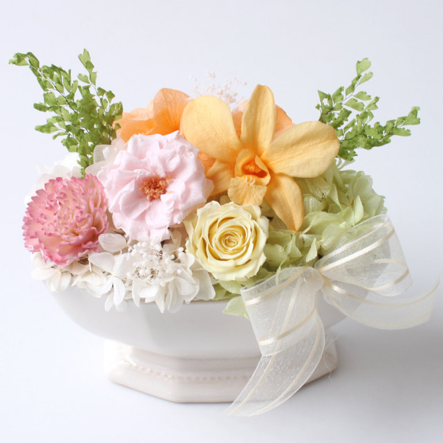 チュチュ/プリザーブドフラワー プリザーブドフラワーギフトの通販専門  