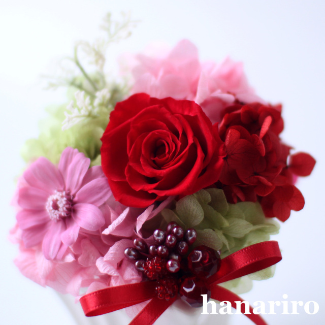 プリモ（赤ピンク系）/プリザーブドフラワー プリザーブド