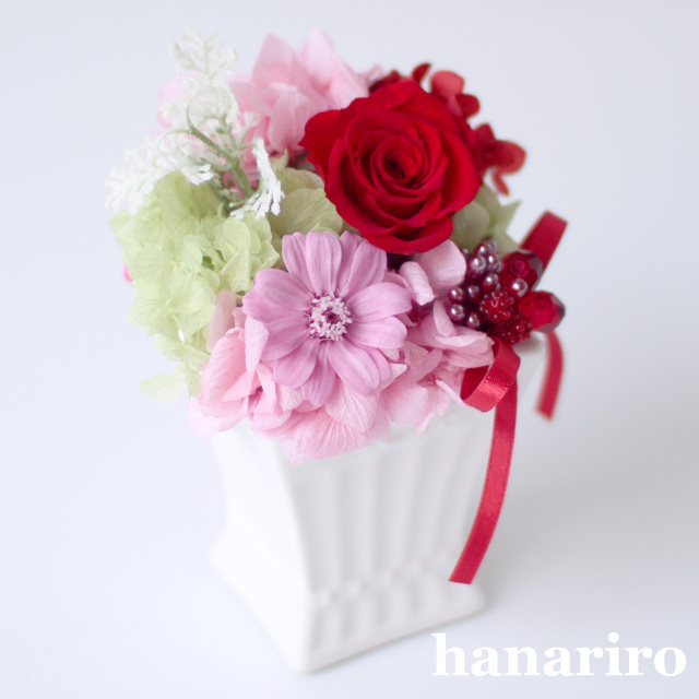 プリモ（赤ピンク系）/プリザーブドフラワー プリザーブドフラワー