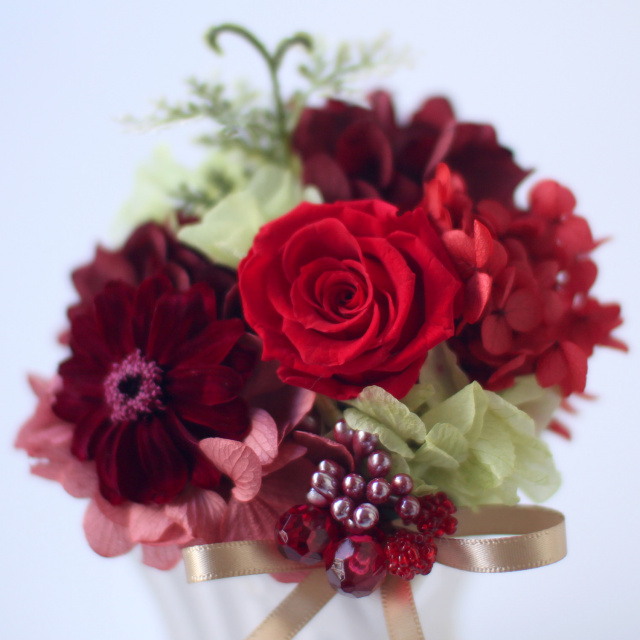 プリモ（赤系）/プリザーブドフラワー プリザーブドフラワー