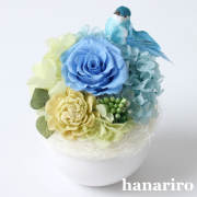 しあわせの青い鳥（ブルーミニ）/プリザーブドフラワー【送料無料】