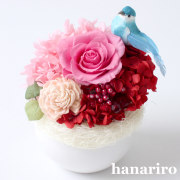 しあわせの青い鳥（赤ピンクミニ）/プリザーブドフラワー【送料無料】