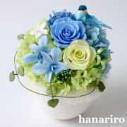 しあわせの青い鳥（ブルーＬ）/プリザーブドフラワー【送料無料】