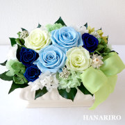 ガーデンブルー/プリザーブドフラワー【送料無料】