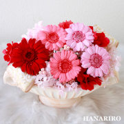 ガーベラ・ガーベラ（ピンク）/プリザーブドフラワー【送料無料】