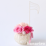 オンピー/プリザーブドフラワー【送料無料】