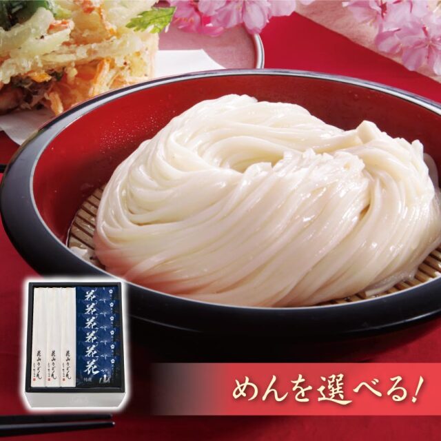 乾麺そばそうめんひやむぎうどん合計9箱 ひゃんで 乾麺4種セット 600g 各2袋 計8袋 約48人前 そば うどん