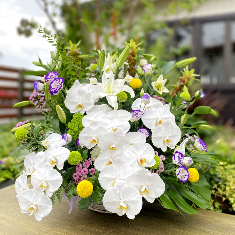 お供えアレンジメント 胡蝶蘭 フローラル花夢館