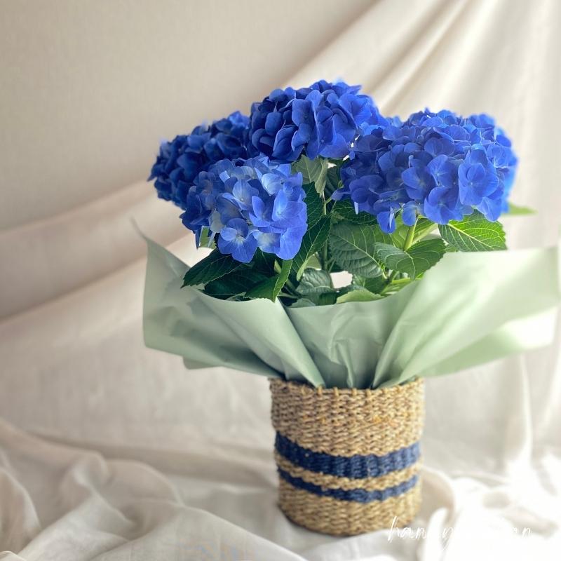 アジサイ　blue系