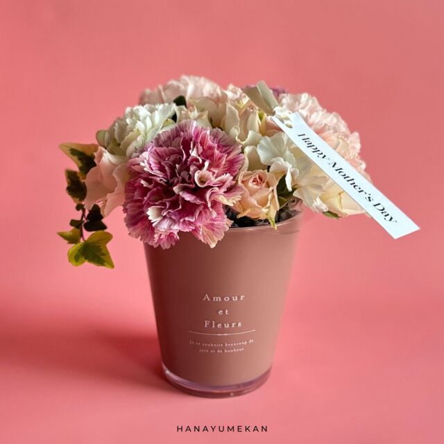 カーネーションアレンジメント ピンク 【母の日予約商品】