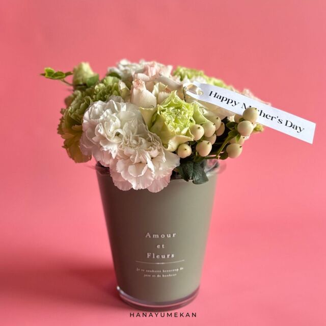 カーネーションアレンジメント グリーン 【母の日予約商品】